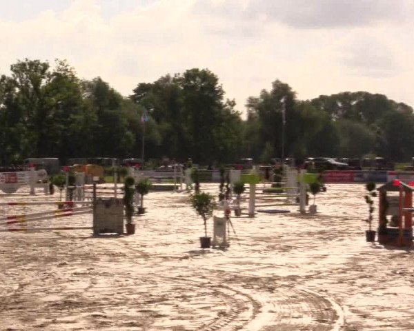 Reitturnier Detmold-Remmighausen 2017