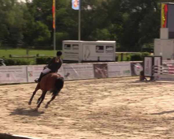 Reitturnier Detmold-Remmighausen 2017