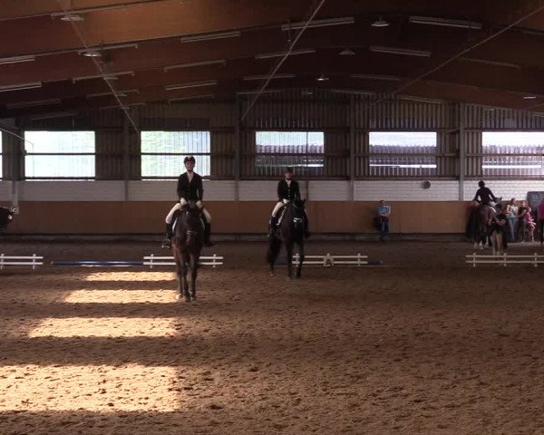 Reitturnier Dortmund-Asseln 2017