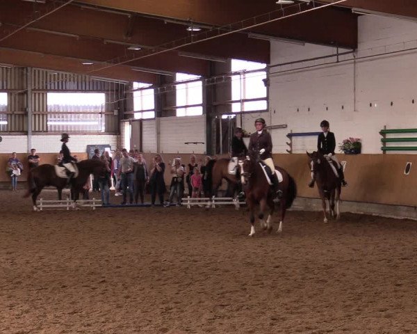Reitturnier Dortmund-Asseln 2017