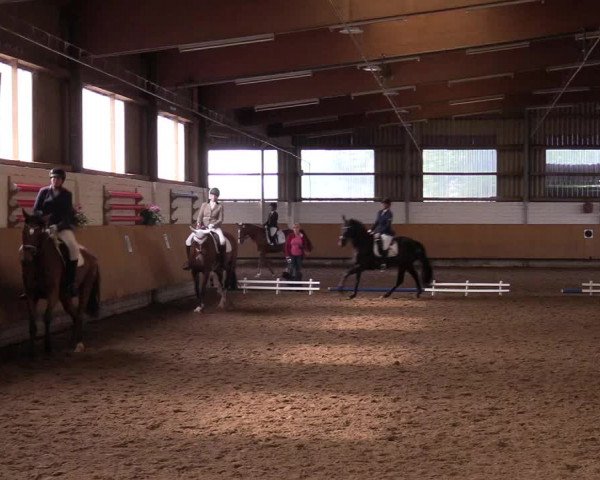 Reitturnier Dortmund-Asseln 2017