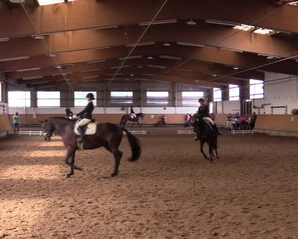 Reitturnier Dortmund-Asseln 2017