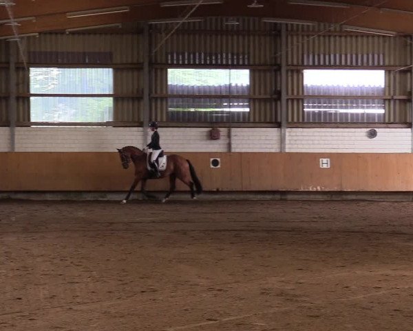 Reitturnier Dortmund-Asseln 2017