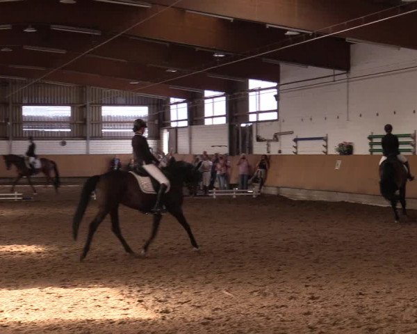 Reitturnier Dortmund-Asseln 2017