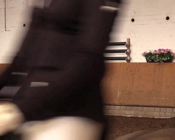 Reitturnier Dortmund-Asseln 2017