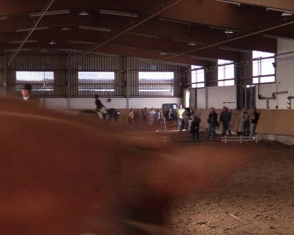 Reitturnier Dortmund-Asseln 2017