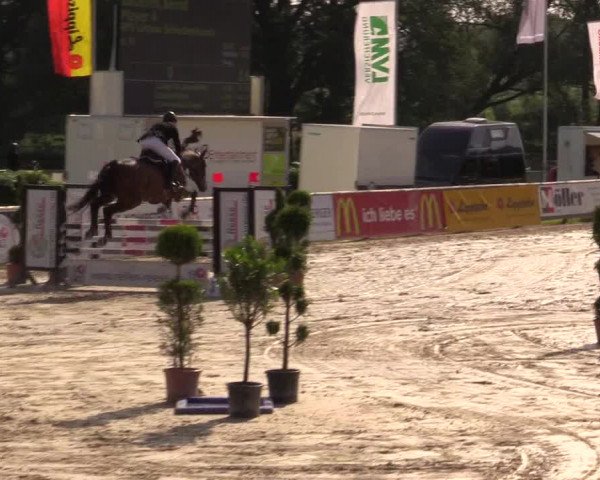 Reitturnier Detmold-Remmighausen 2017