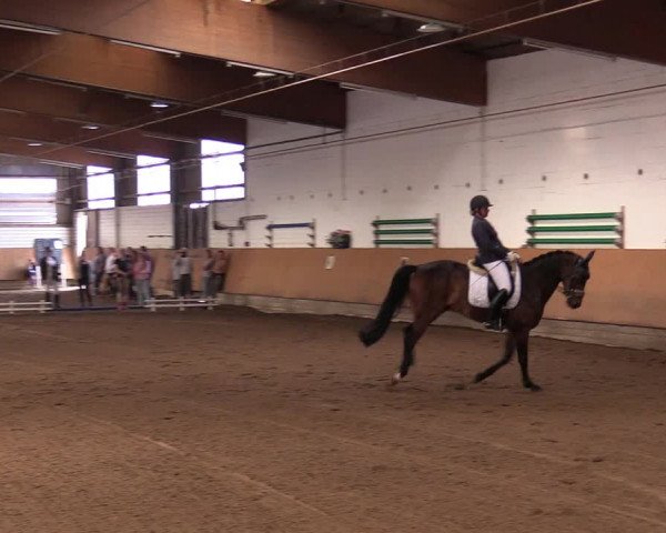 Reitturnier Dortmund-Asseln 2017