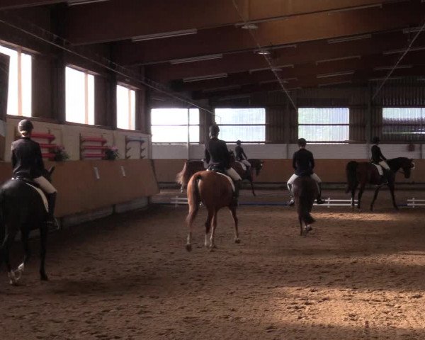 Reitturnier Dortmund-Asseln 2017