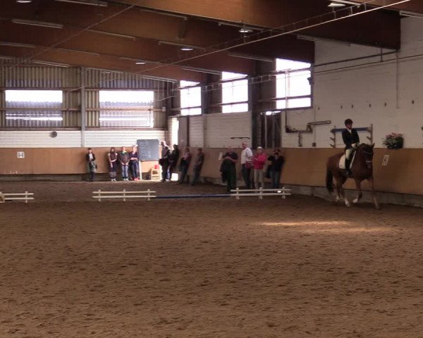Reitturnier Dortmund-Asseln 2017