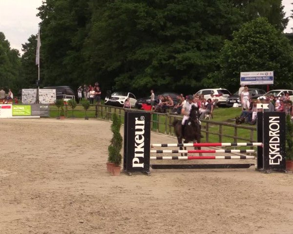 Reitturnier Detmold-Remmighausen 2017