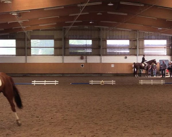 Reitturnier Dortmund-Asseln 2017