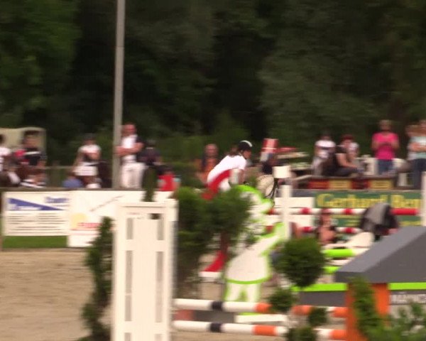 Reitturnier Detmold-Remmighausen 2017