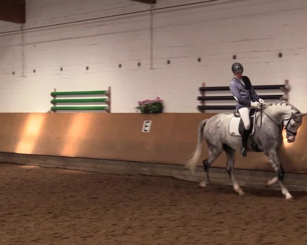 Reitturnier Dortmund-Asseln 2017