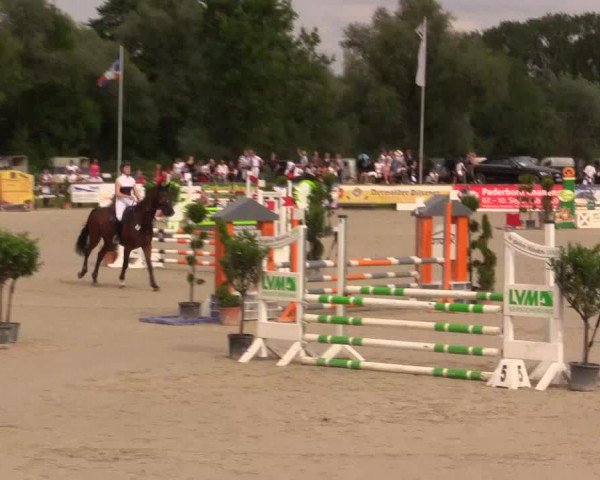Reitturnier Detmold-Remmighausen 2017