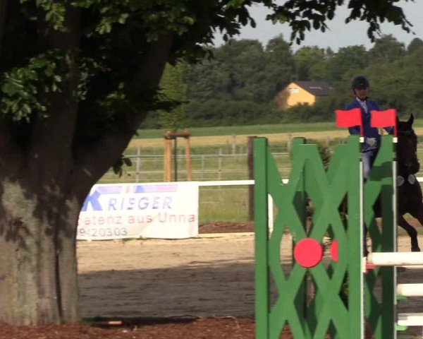 Reitturnier Dortmund-Asseln 2017