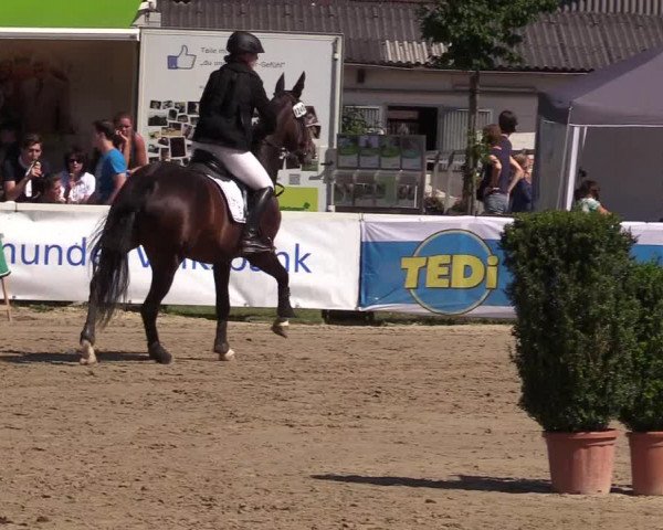 Reitturnier Dortmund-Asseln 2017