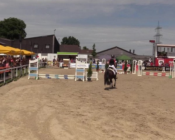 Reitturnier Dortmund-Asseln 2017