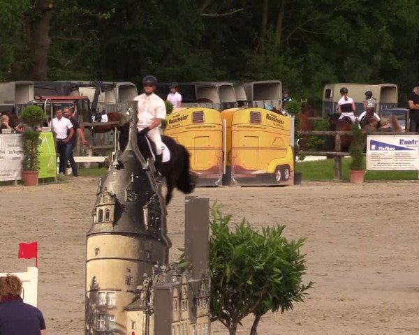 Reitturnier Detmold-Remmighausen 2017