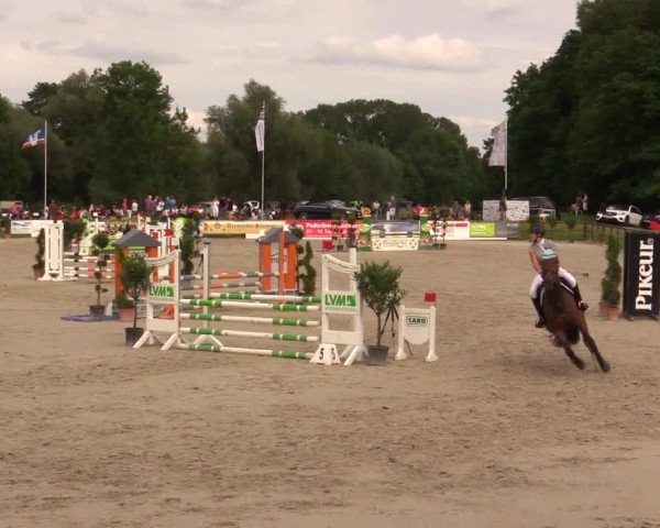 Reitturnier Detmold-Remmighausen 2017