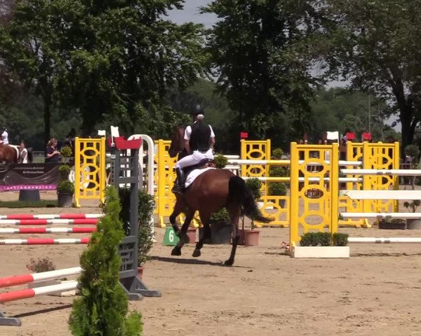 Reitturnier Dortmund-Asseln 2017