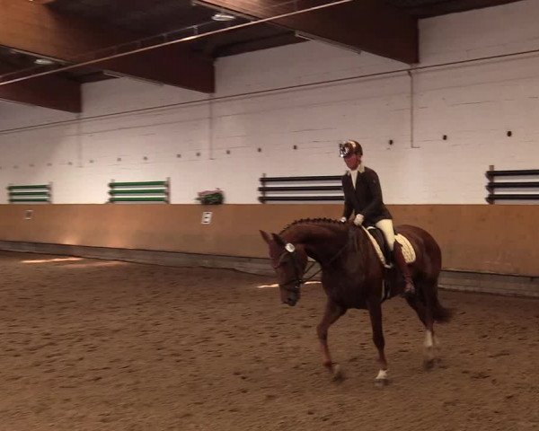 Reitturnier Dortmund-Asseln 2017