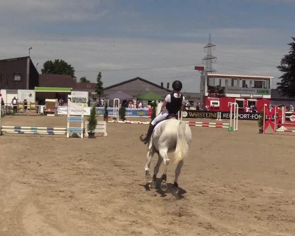 Reitturnier Dortmund-Asseln 2017