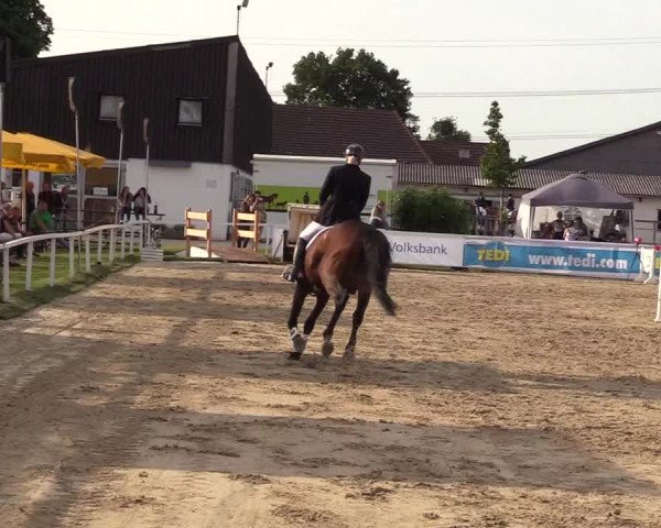 Reitturnier Dortmund-Asseln 2017