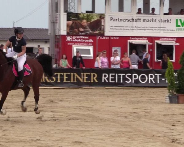Reitturnier Dortmund-Asseln 2017
