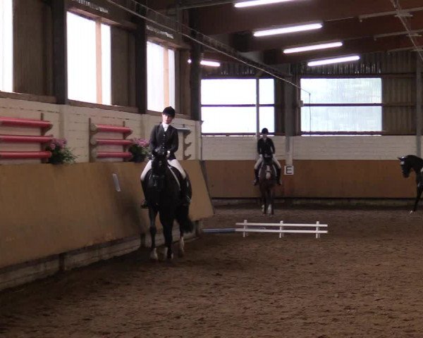 Reitturnier Dortmund-Asseln 2017