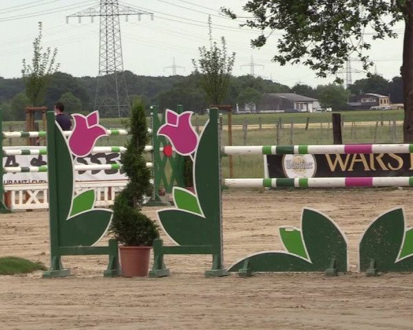 Reitturnier Dortmund-Asseln 2017