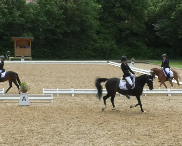 Reitturnier Schwaiganger 2017