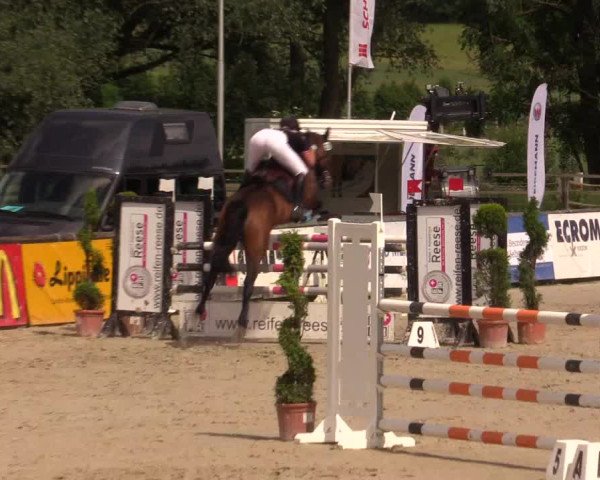 Reitturnier Detmold-Remmighausen 2017
