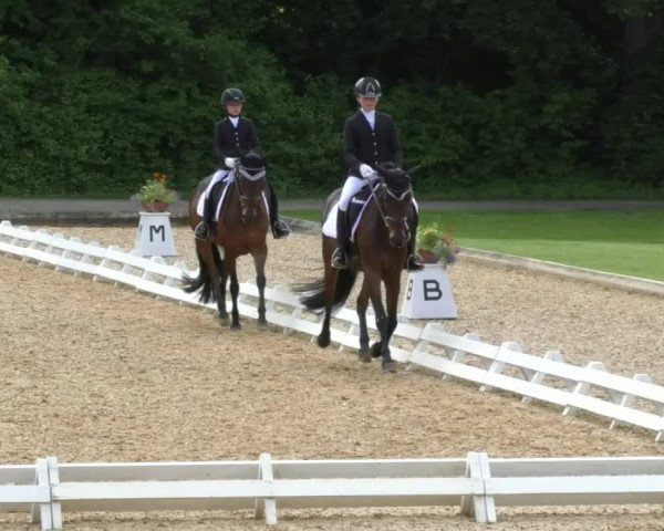 Reitturnier Schwaiganger 2017