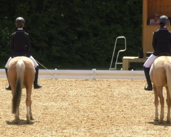 Reitturnier Schwaiganger 2017