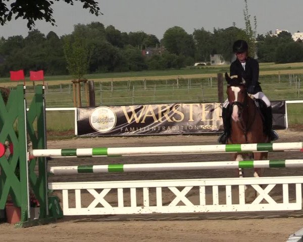 Reitturnier Dortmund-Asseln 2017