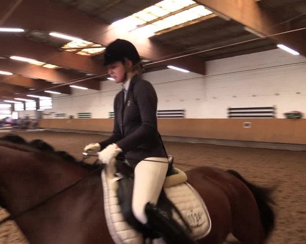 Reitturnier Dortmund-Asseln 2017