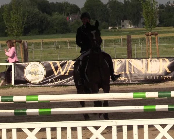 Reitturnier Dortmund-Asseln 2017