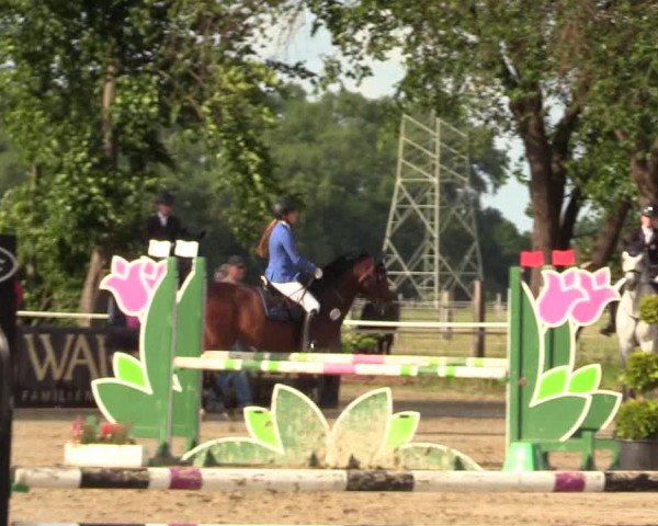 Reitturnier Dortmund-Asseln 2017