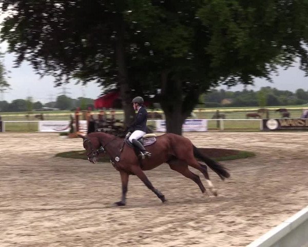 Reitturnier Dortmund-Asseln 2017