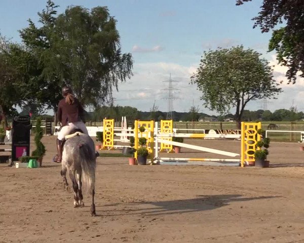 Reitturnier Dortmund-Asseln 2017