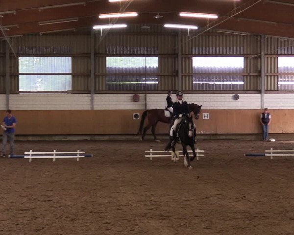 Reitturnier Dortmund-Asseln 2017