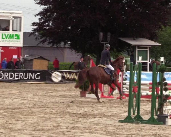 Reitturnier Dortmund-Asseln 2017