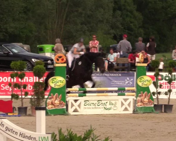 Reitturnier Detmold-Remmighausen 2017