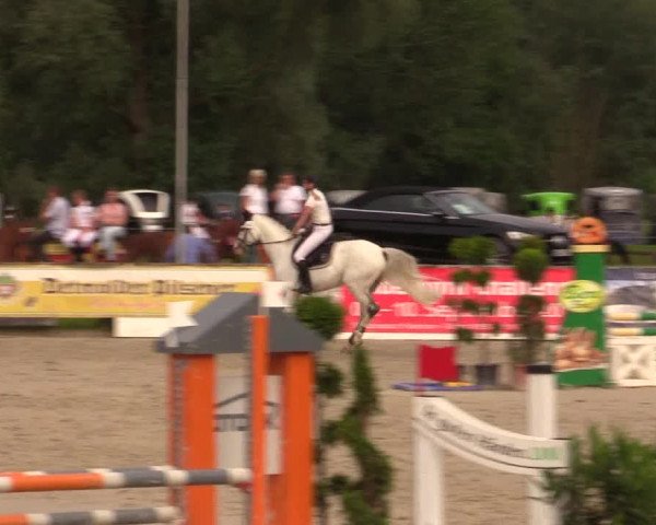 Reitturnier Detmold-Remmighausen 2017