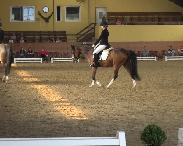 Reitturnier Frechen-Grefrath - Sonnenhof 2017