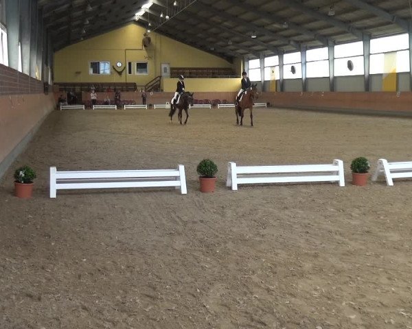 Reitturnier Frechen-Grefrath - Sonnenhof 2017