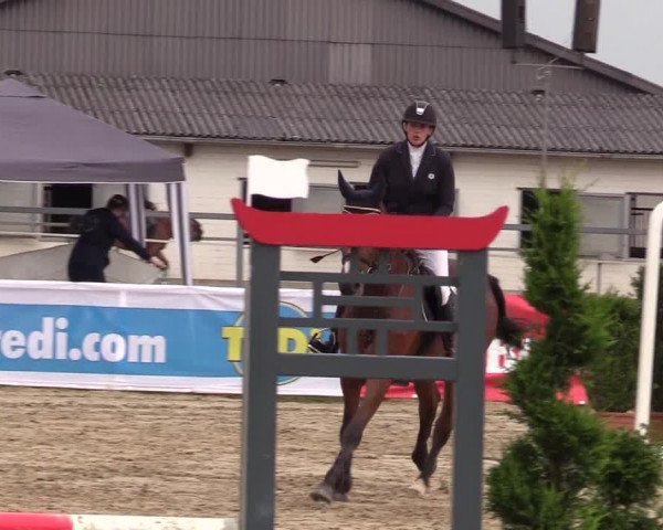Reitturnier Dortmund-Asseln 2017