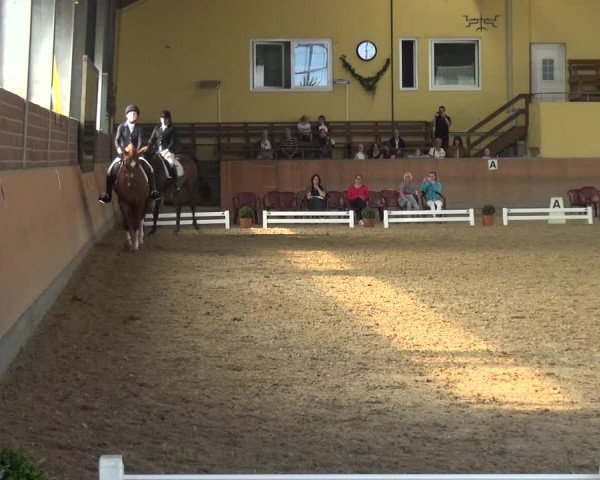 Reitturnier Frechen-Grefrath - Sonnenhof 2017