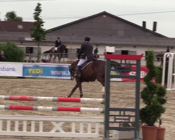 Reitturnier Dortmund-Asseln 2017